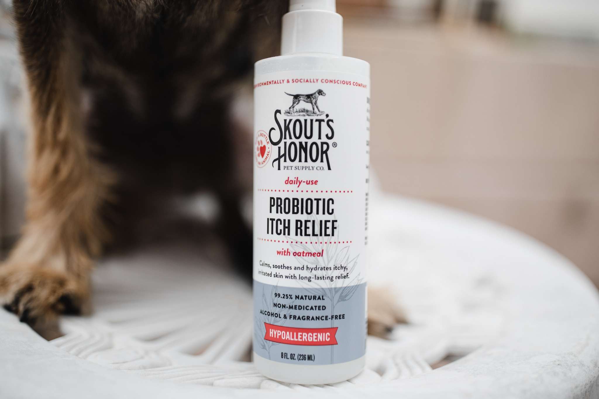 Why Does My Dog Keep Scratching? Causes and Relief Tips