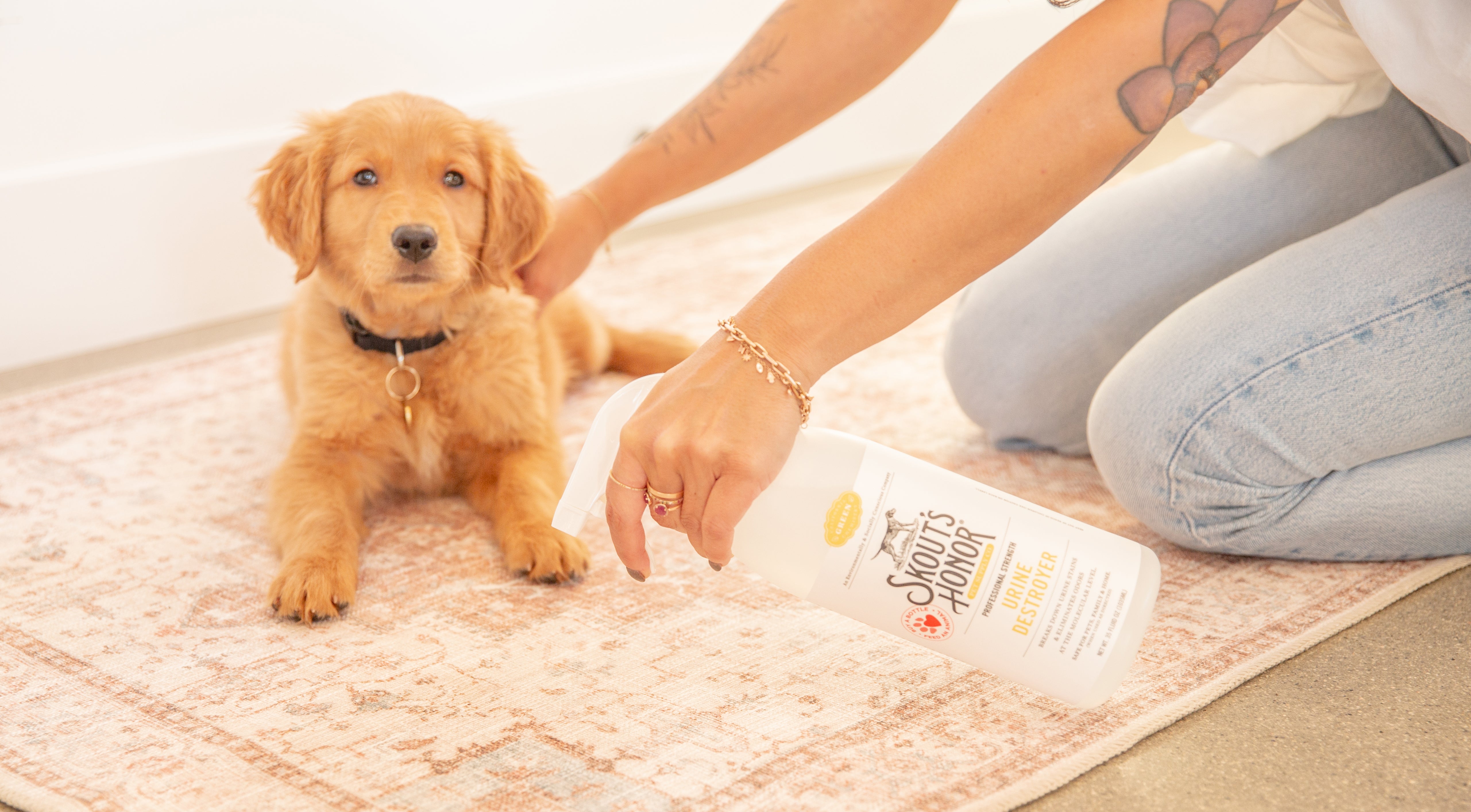 Advantages of Enzyme-Free Cleaners | Skout's Honor