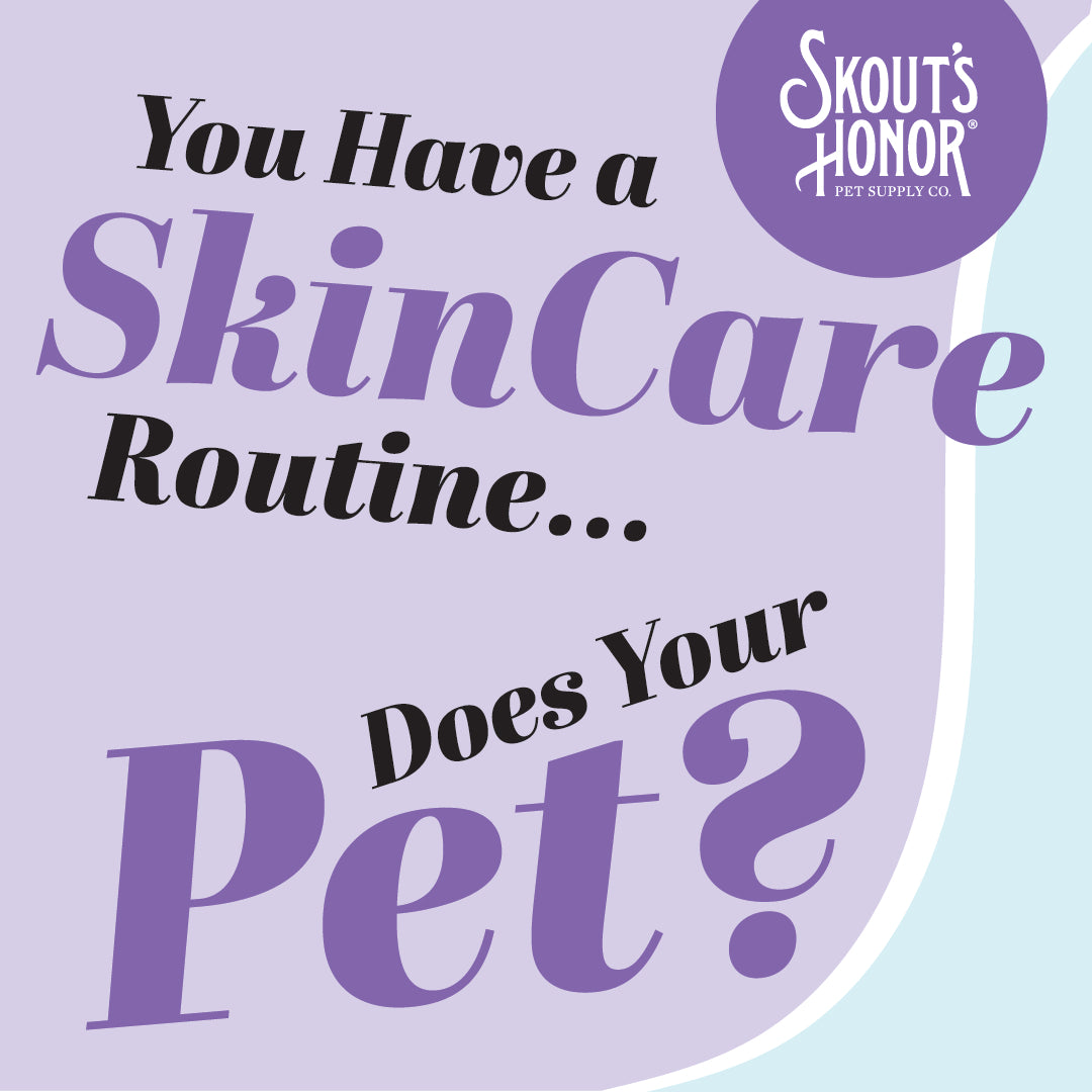 Pampering Your Pet with a Tailored Skincare Routine