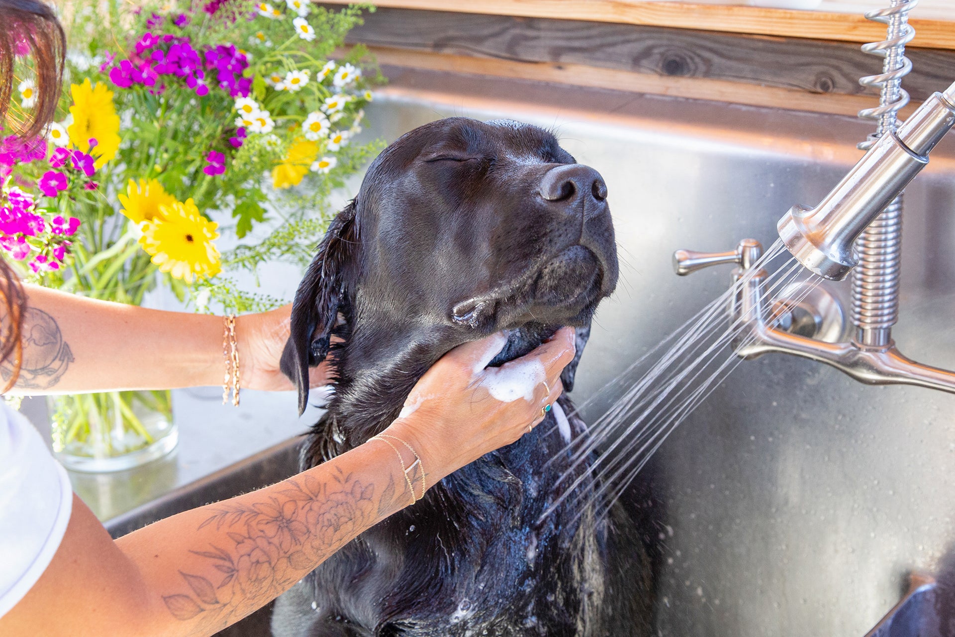 Being Mindful of Ingredients