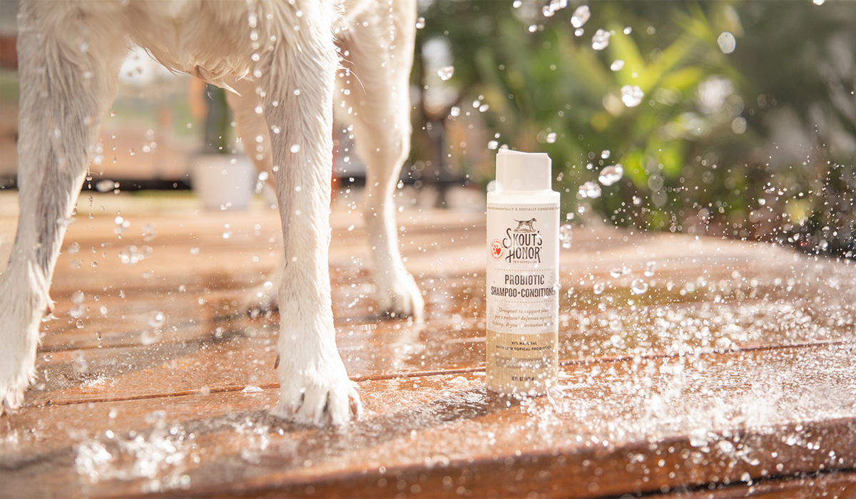 Dog shaking off water after a bath outside