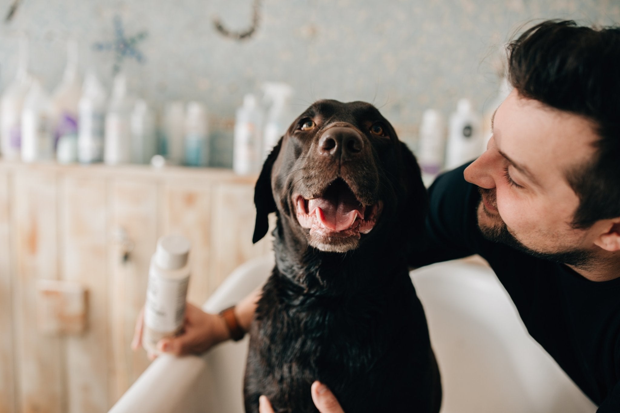 Microbiome 101 (Why Probiotics Matter) | Skout's Honor