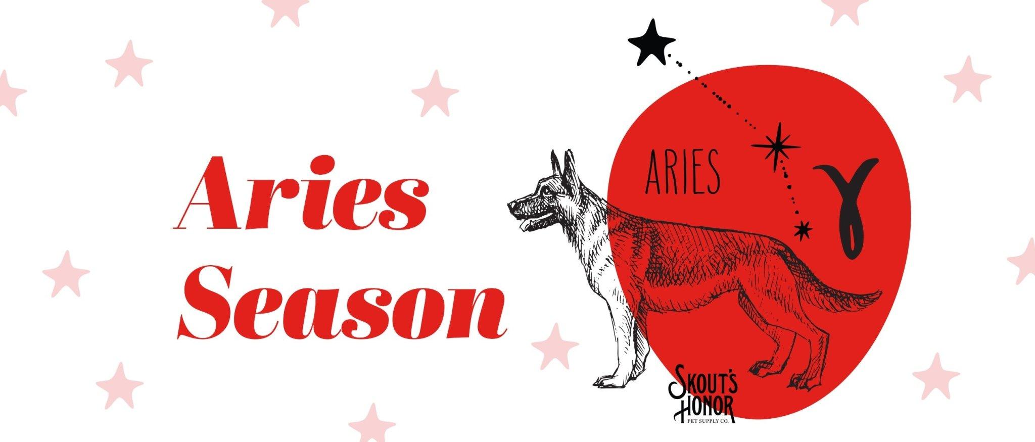 Pet Horoscopes: Aries Season Is Cueing Us to Take More Adventures | Skout's Honor