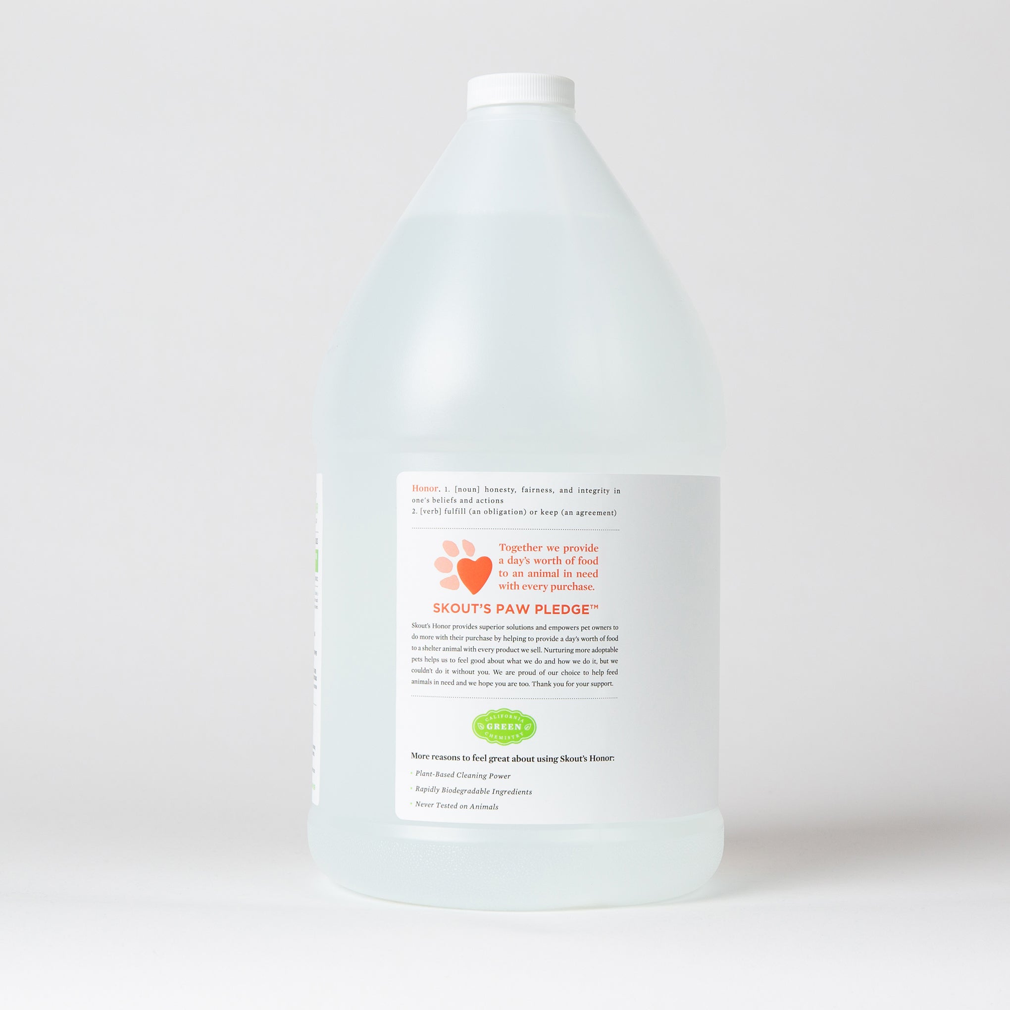 Stain & Odor Remover