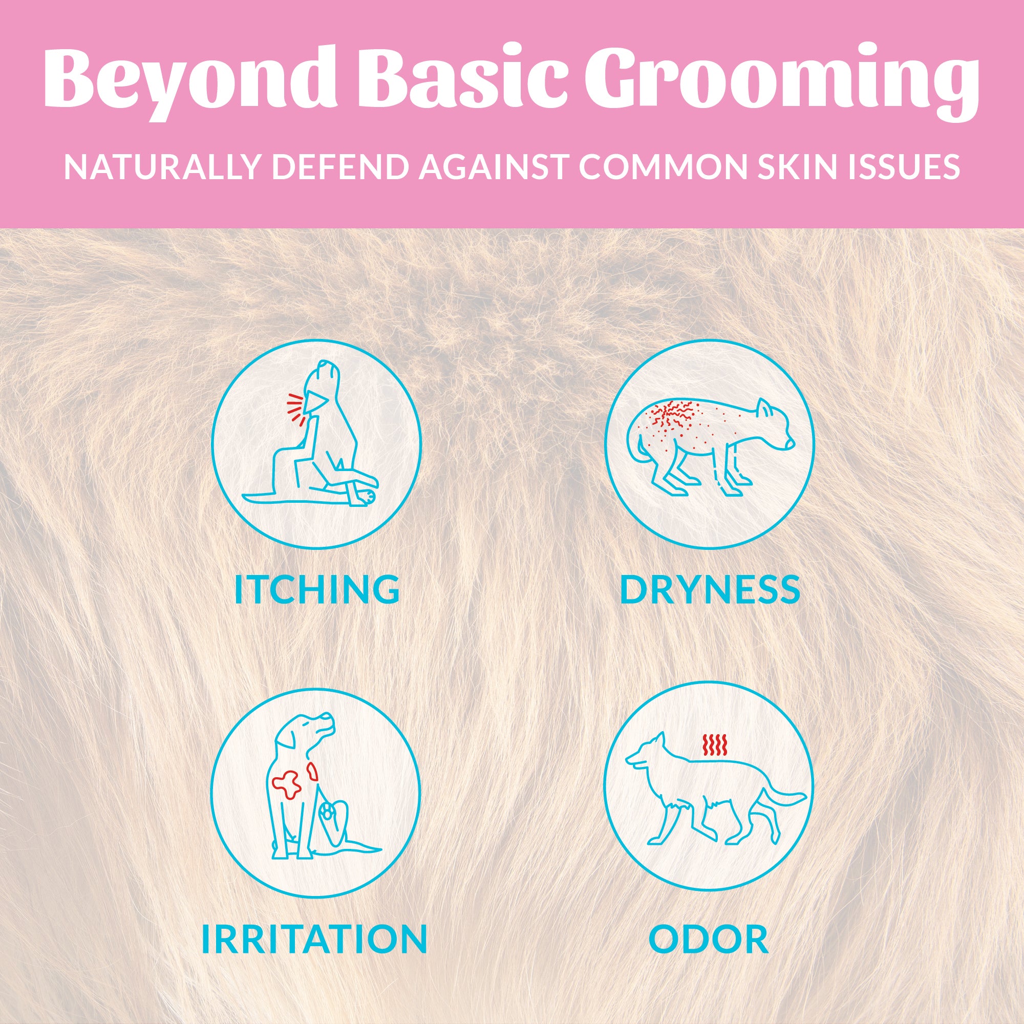 Probiotic Shampoo + Conditioner