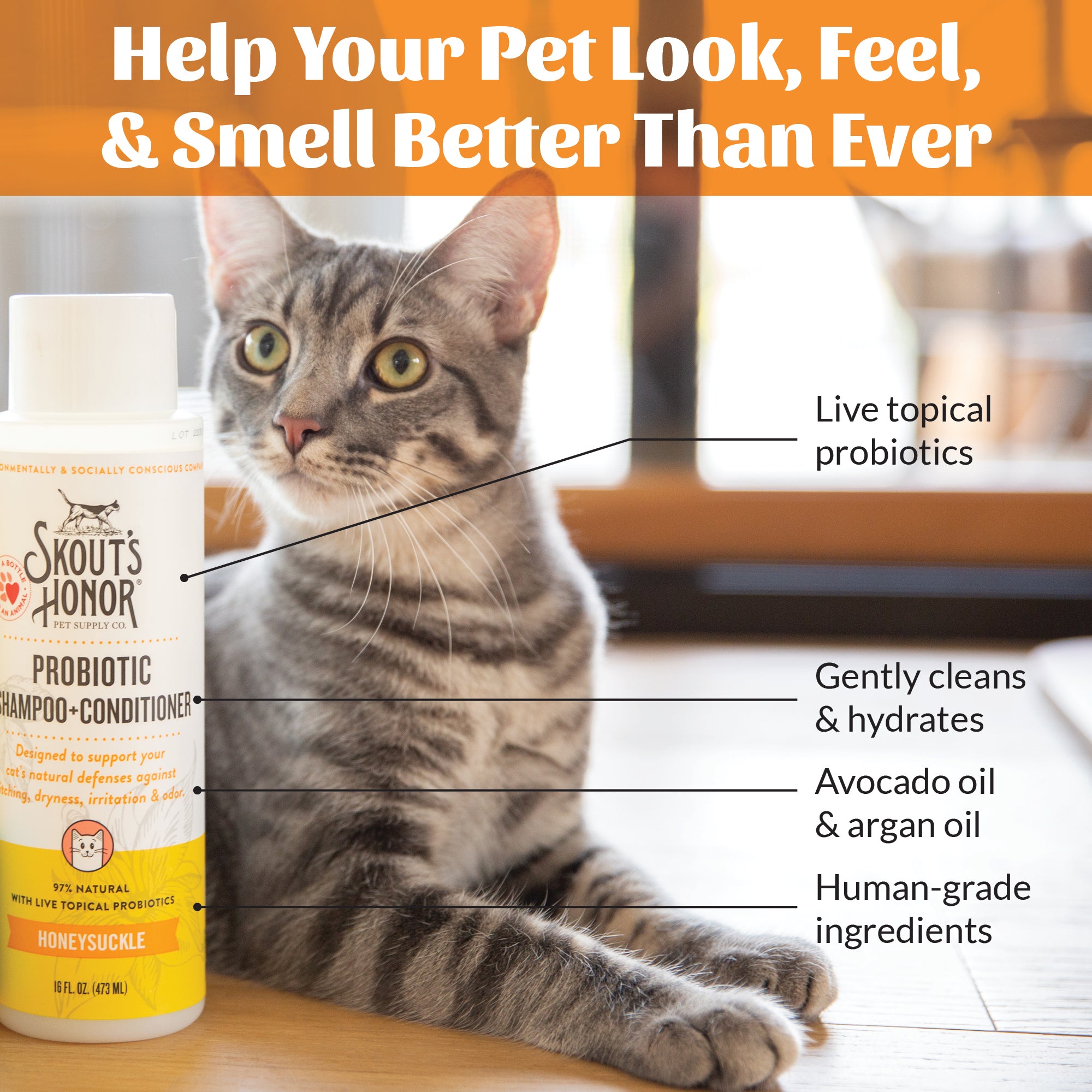 Cat Probiotic Shampoo + Conditioner Honeysuckle