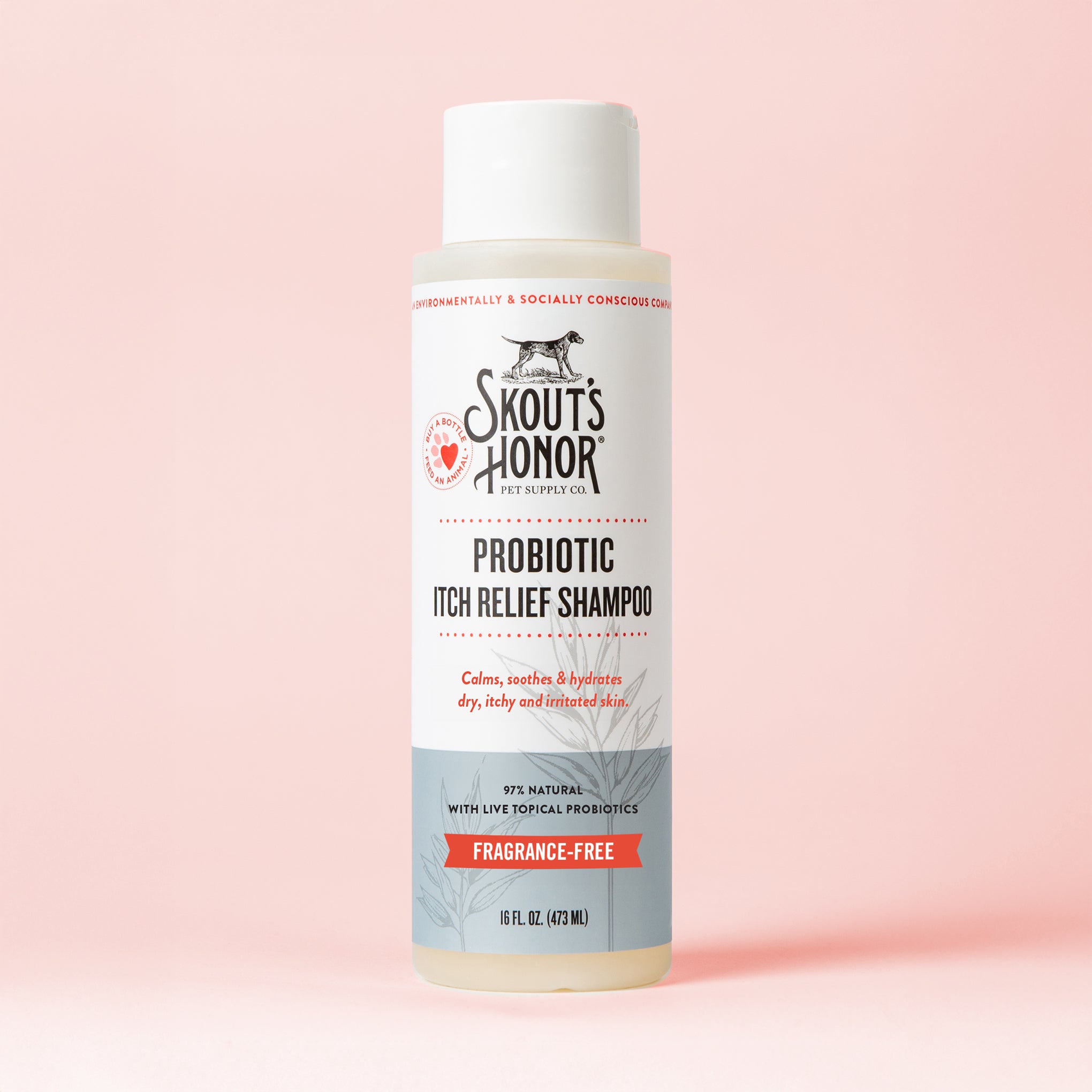 Probiotic Itch Relief Shampoo