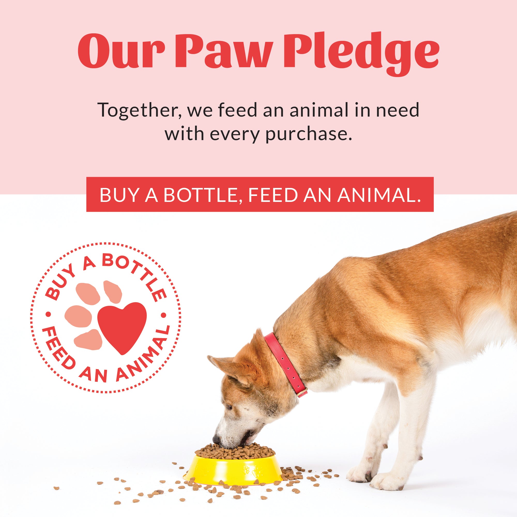 Flea+Tick Dog & Home Spray