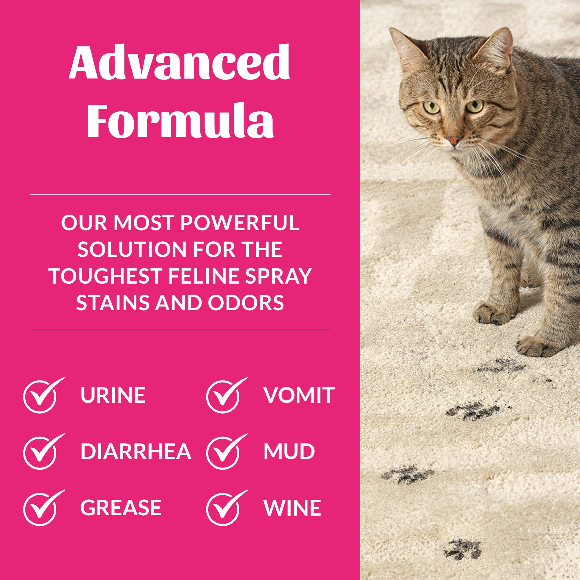 Cat Severe Mess Stain & Odor Advanced Formula