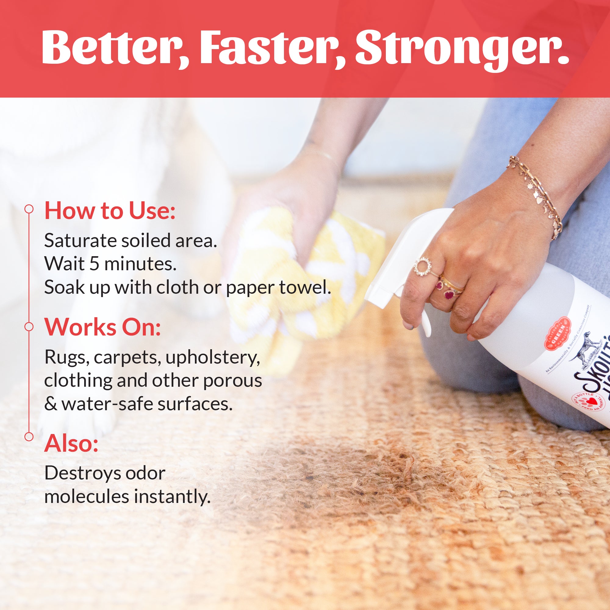 Severe Mess Stain & Odor Advanced Formula