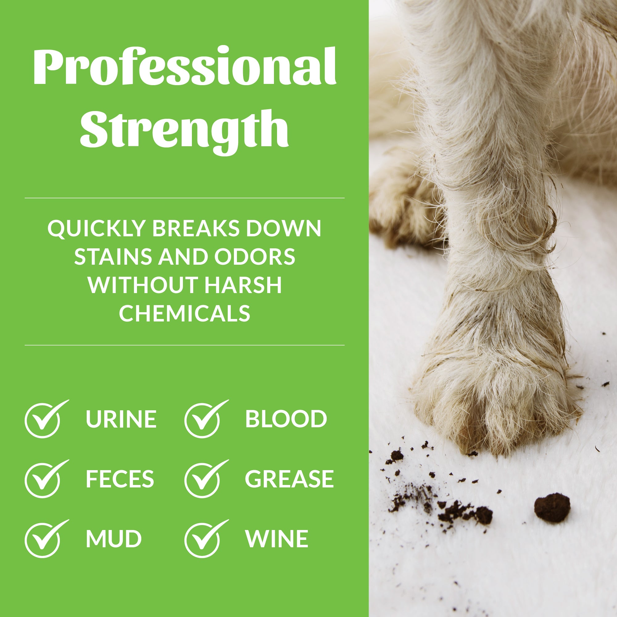 Stain & Odor Remover