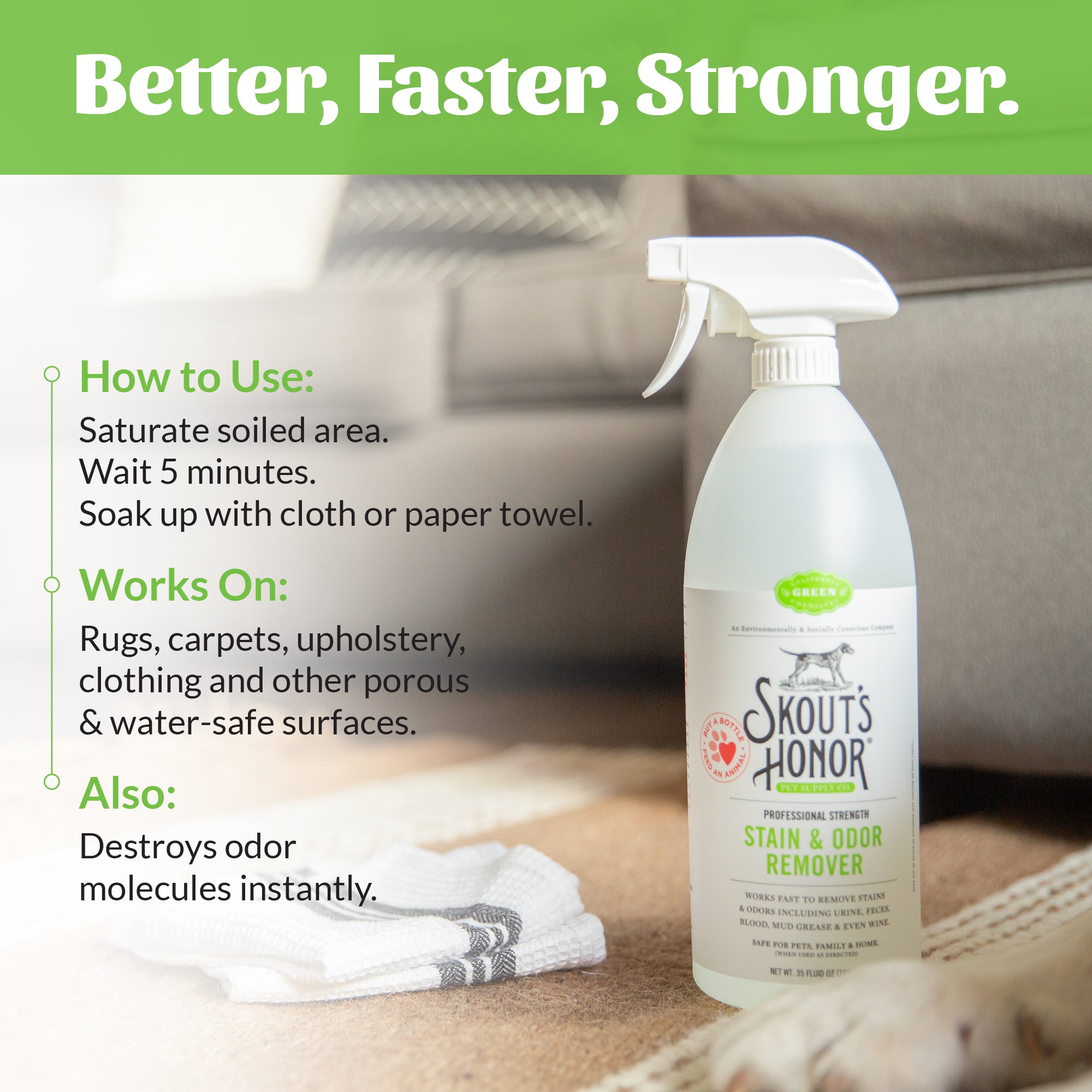 Stain & Odor Remover
