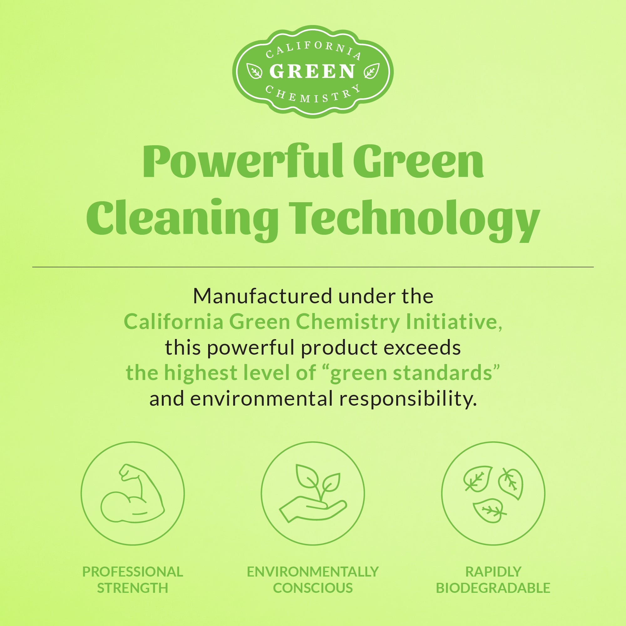 Stain & Odor Remover