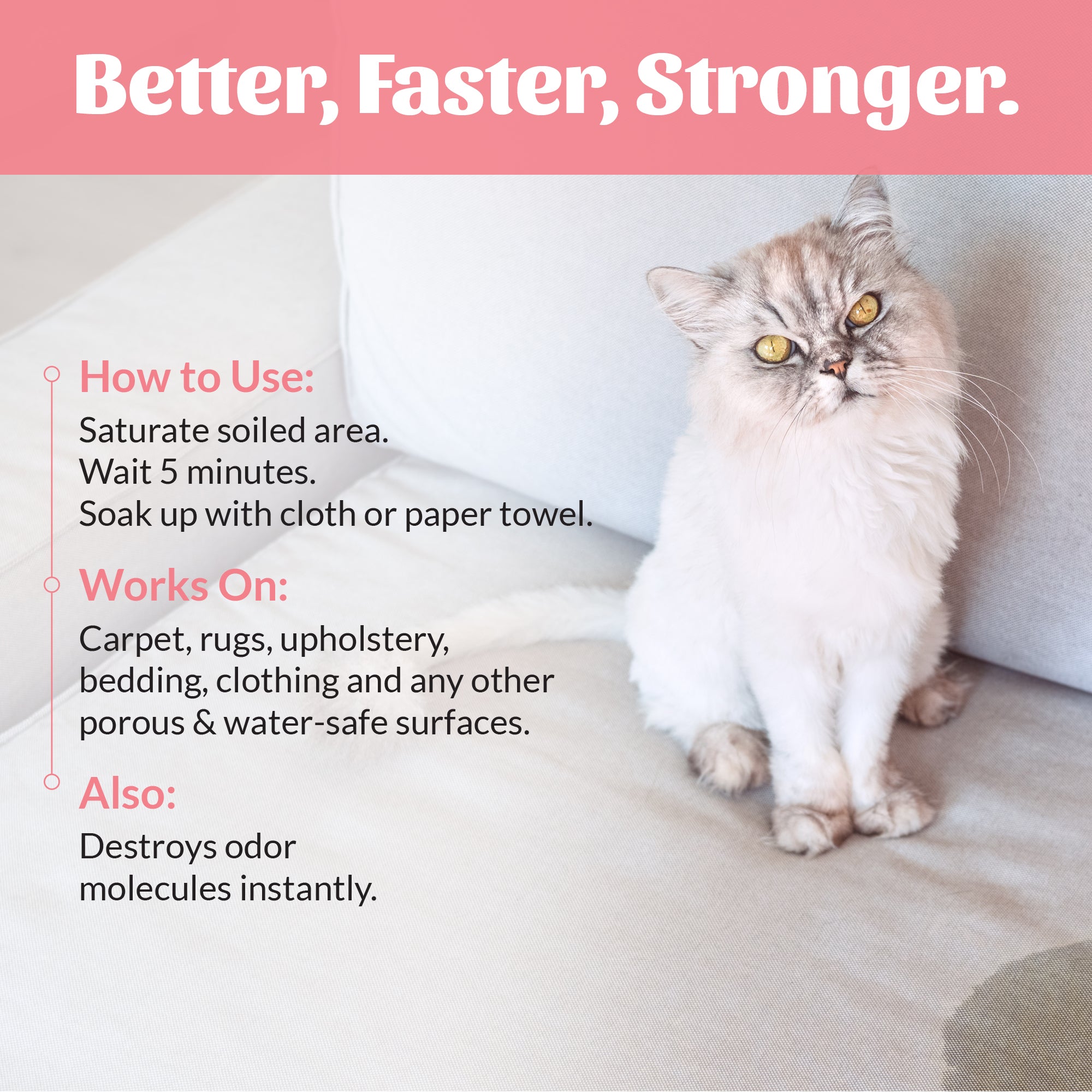 Cat Urine & Odor Destroyer