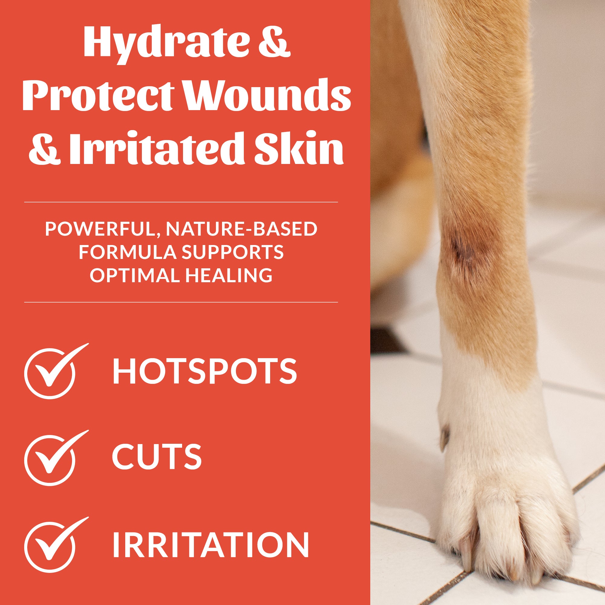 Probiotic Hot Spot Hydrogel