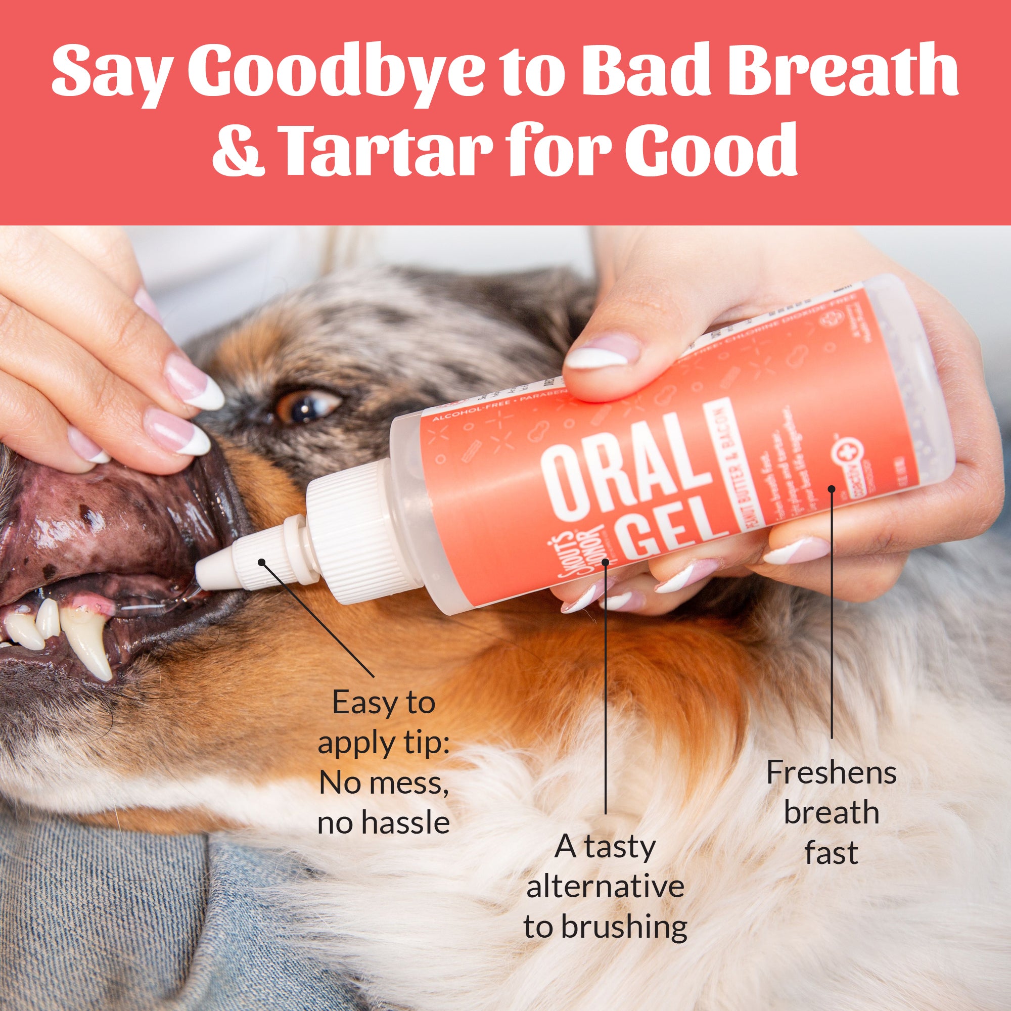 Oral Gel - Peanut Butter & Bacon