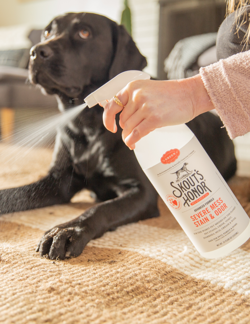 8X4A3911.png__PID:0defc925-34cf-4705-ba99-13b26732fdfb