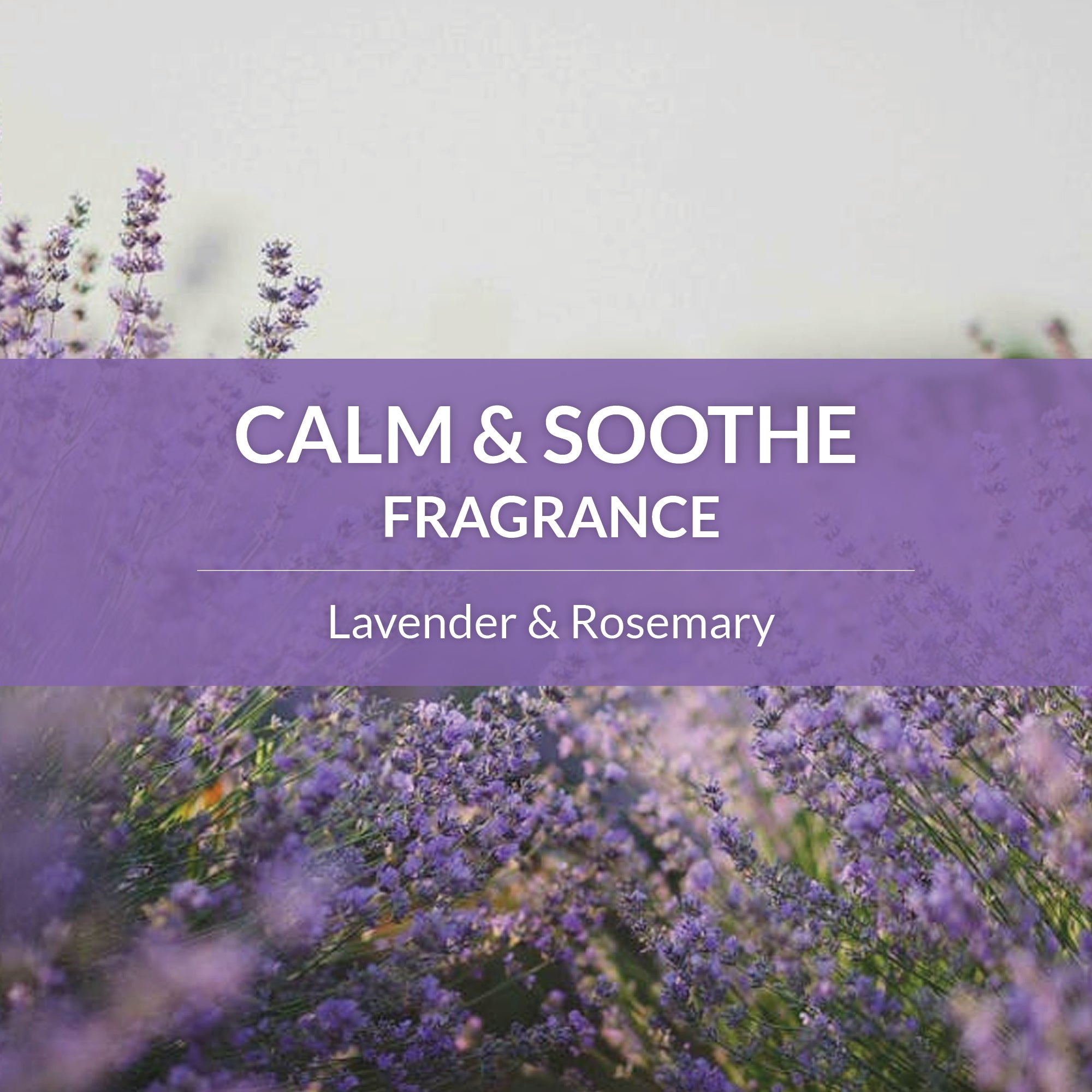 Probiotic Deodorizer