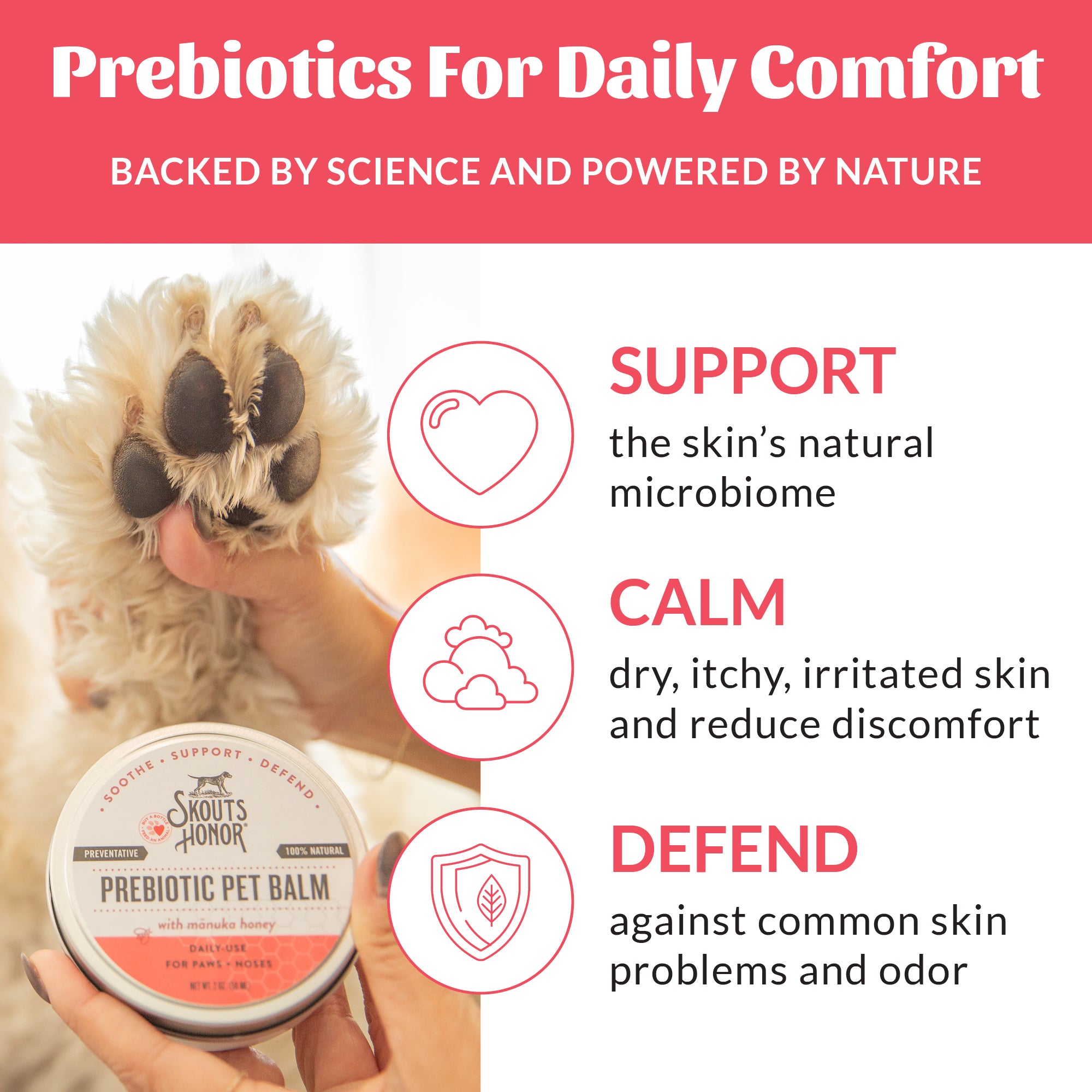 Prebiotic Pet Balm