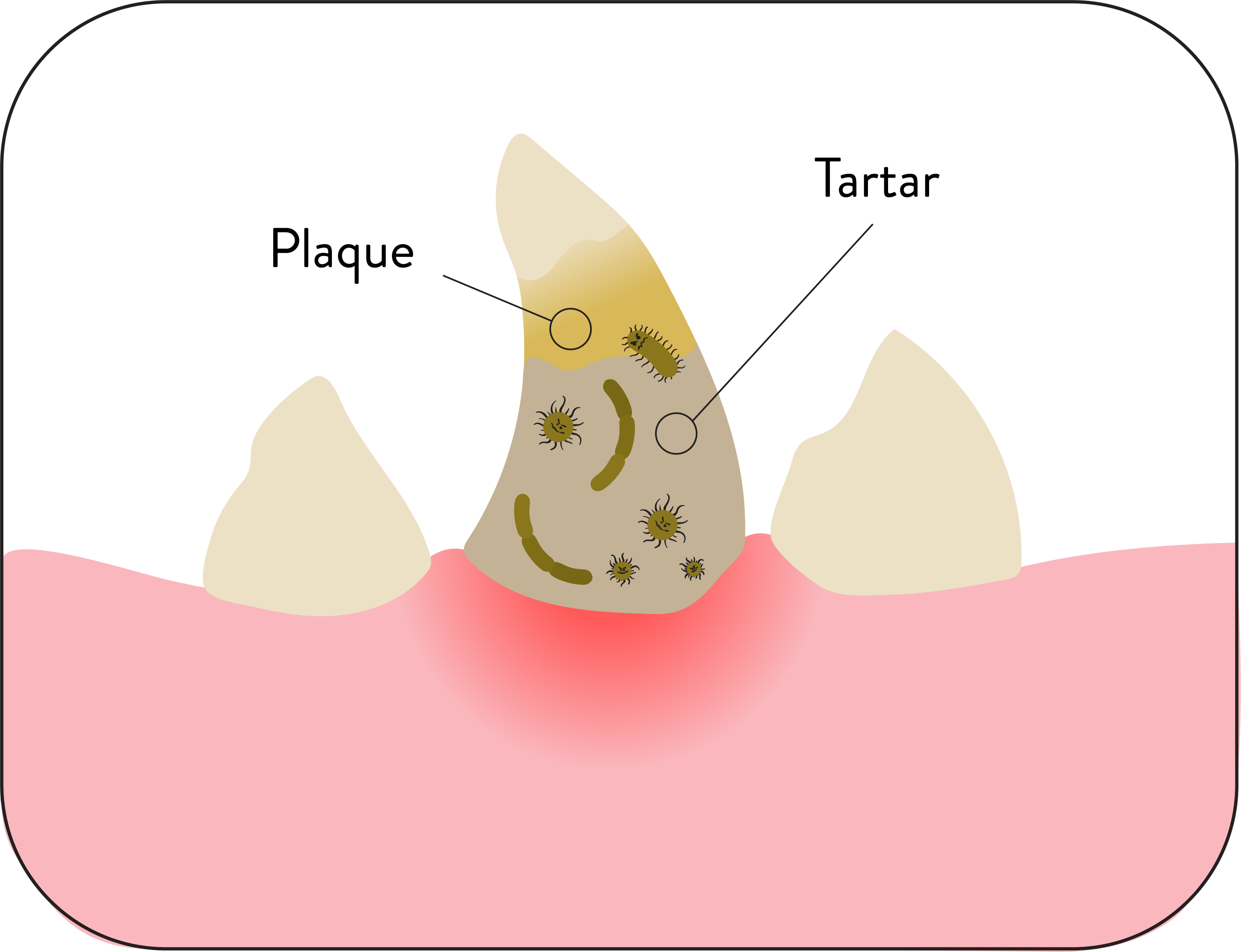 steps@1.png__PID:1dcc631d-ba24-4f73-9000-9c8c395cba08