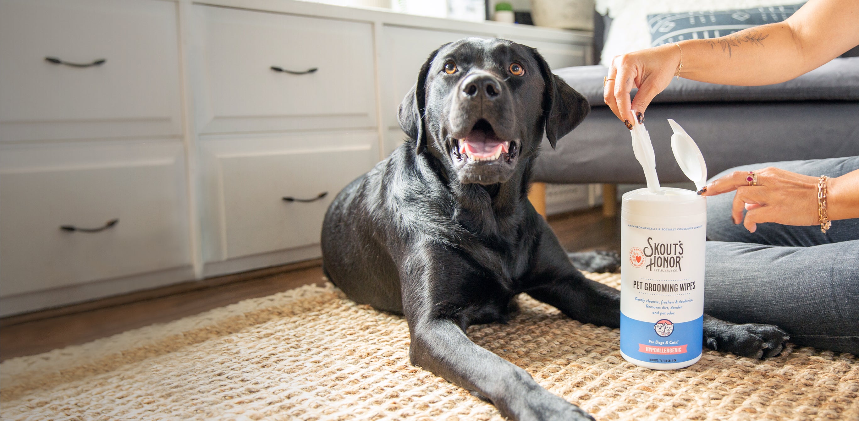 What are the Advantages of Pet Grooming Wipes? Skout's Honor