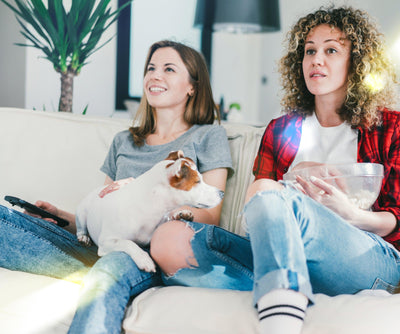 5 Ways to Establish Boundaries with Your Dog and Roommates