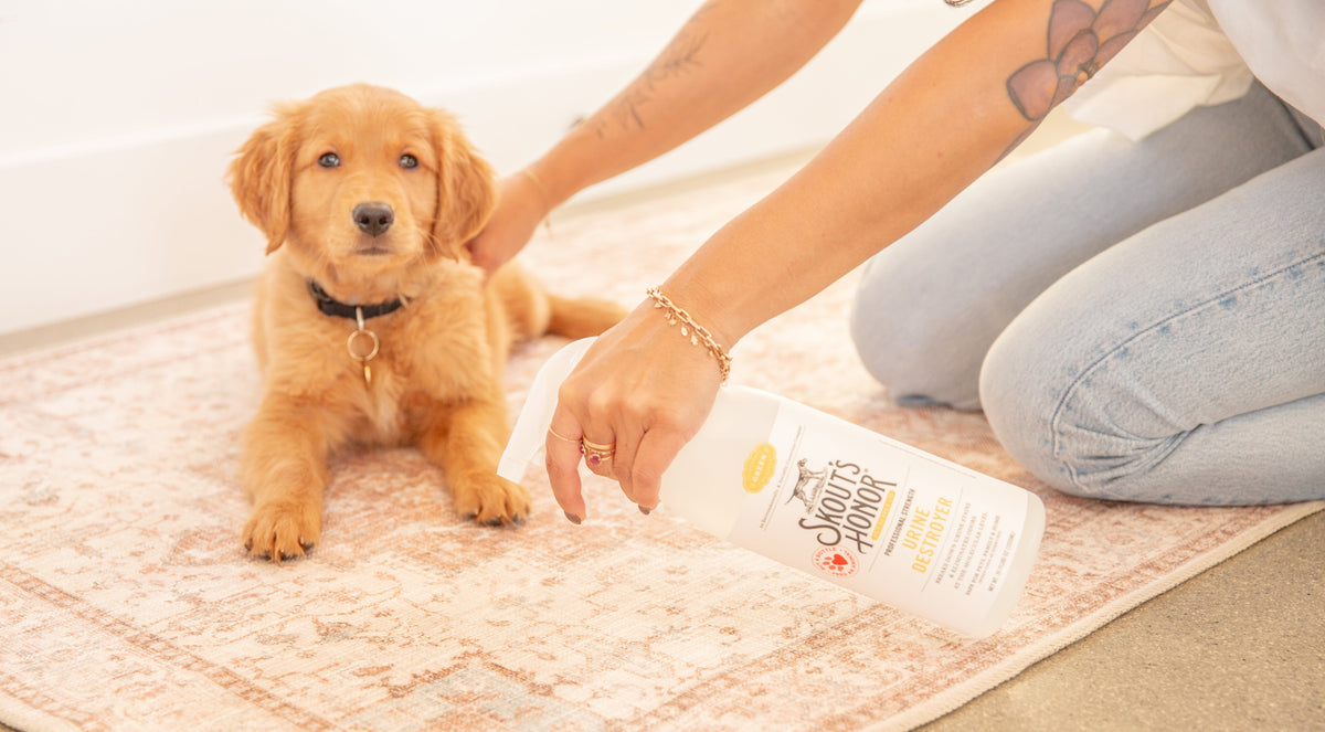 Enzyme-Free Cleaners: Are They Better? | Skout's Honor