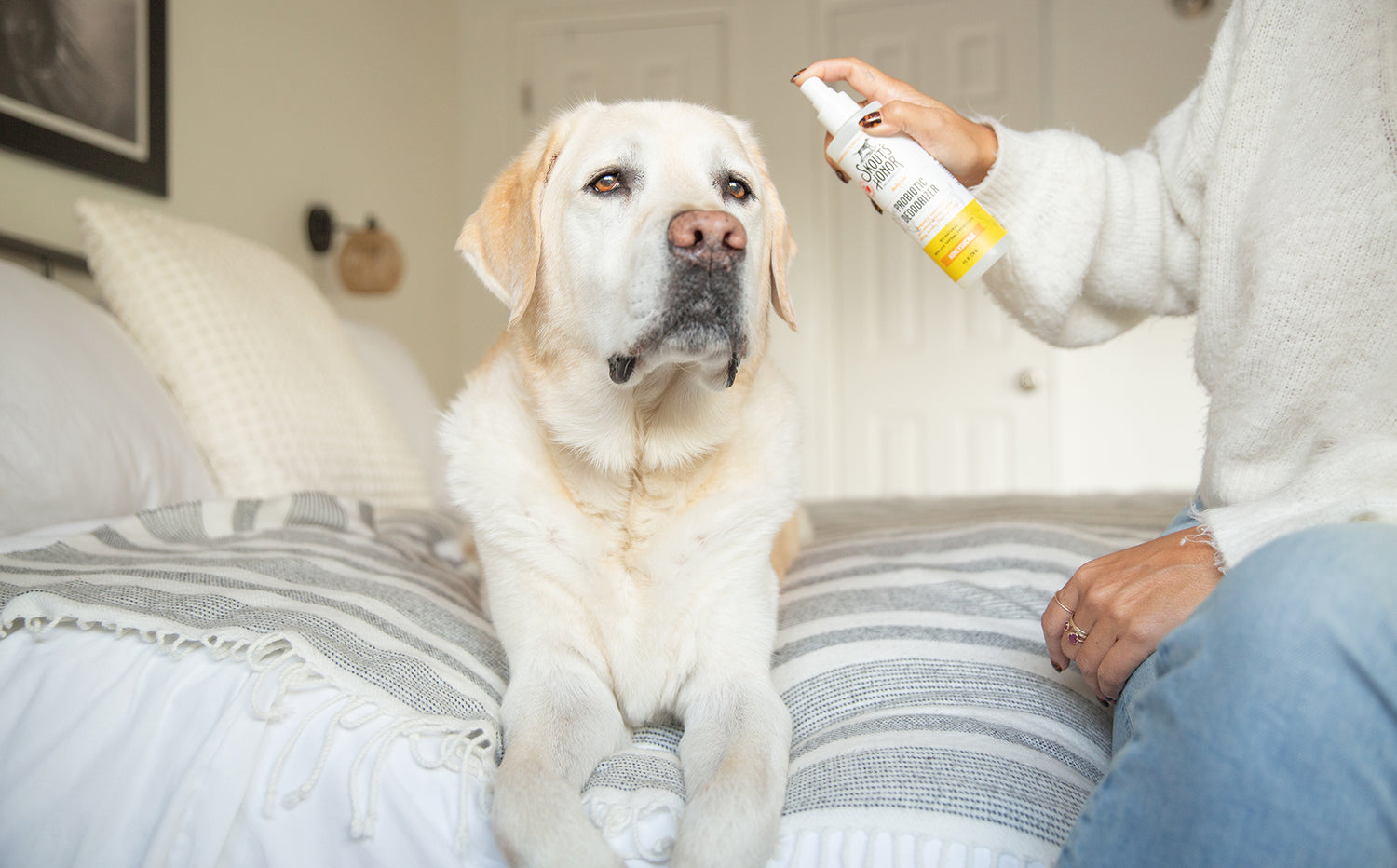 Five Tips for Using a Deodorizer on Your Dog & Cat