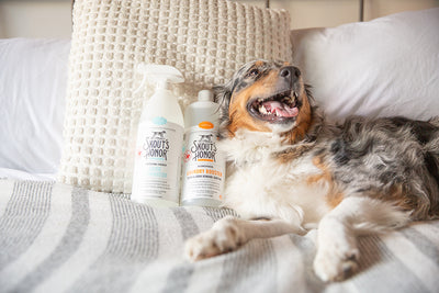 Master Spring Cleaning as a Pet Parent!