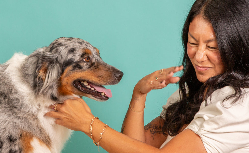 How To Clean Dog Pee From Hardwood Floors Skout’s Honor Skout's Honor