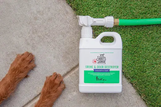 How to Get Dog Urine Smell Out of Concrete and Turf | Skout's Honor
