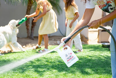 Stop Fleas, Ticks & Mosquitoes this Summer!