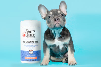 Skout's Honor Pet Grooming Wipes and Your Favorite Frenchie