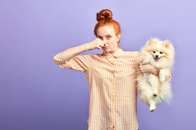 Proven Tips for Managing Your Pet’s Odor