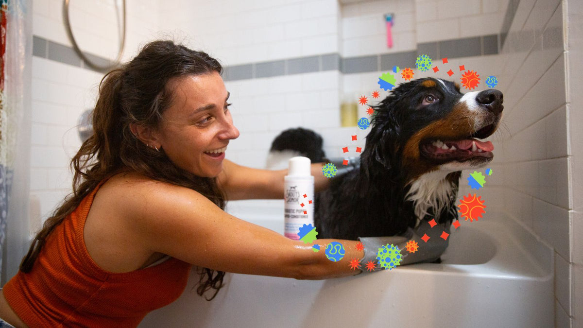 What Is the Skin Microbiome? And Why Your Dog's Matters