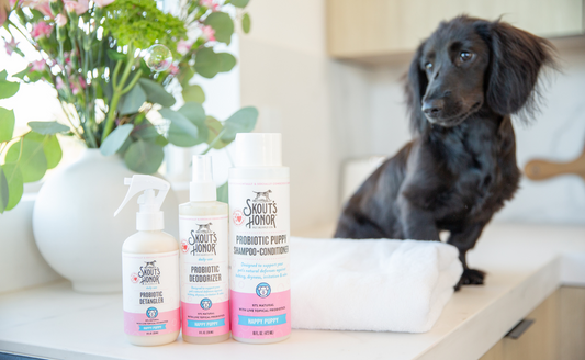 Paws, Claws, and Fluffy Tails: The Complete Dog Grooming Supplies Guide
