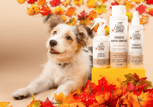 Autumn Skin Care Tips - Skout's Honor