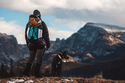 Hiking With Your Dog: A Guide to Hitting the Trails | Skout's Honor