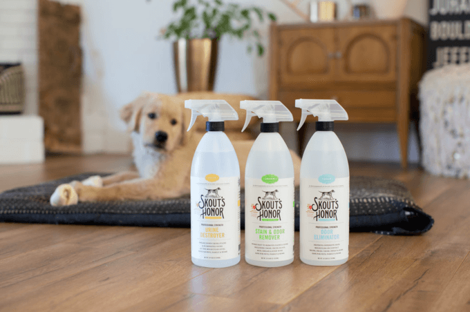 How to Clean Up After Your New Dog, The Skout’s Honor Way! | Skout's Honor