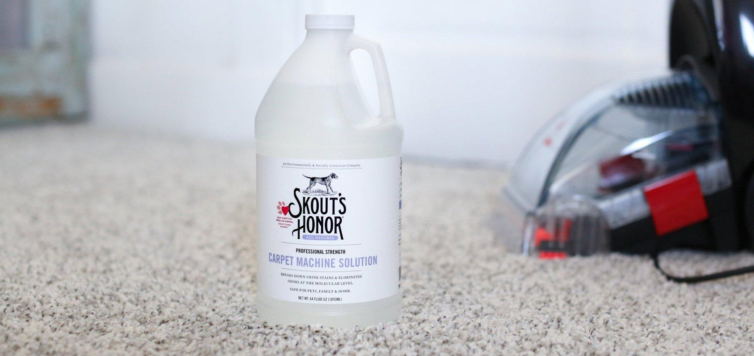 How to Remove Old Pet Stains From the Carpet. (The Really Stubborn Ones…) | Skout's Honor