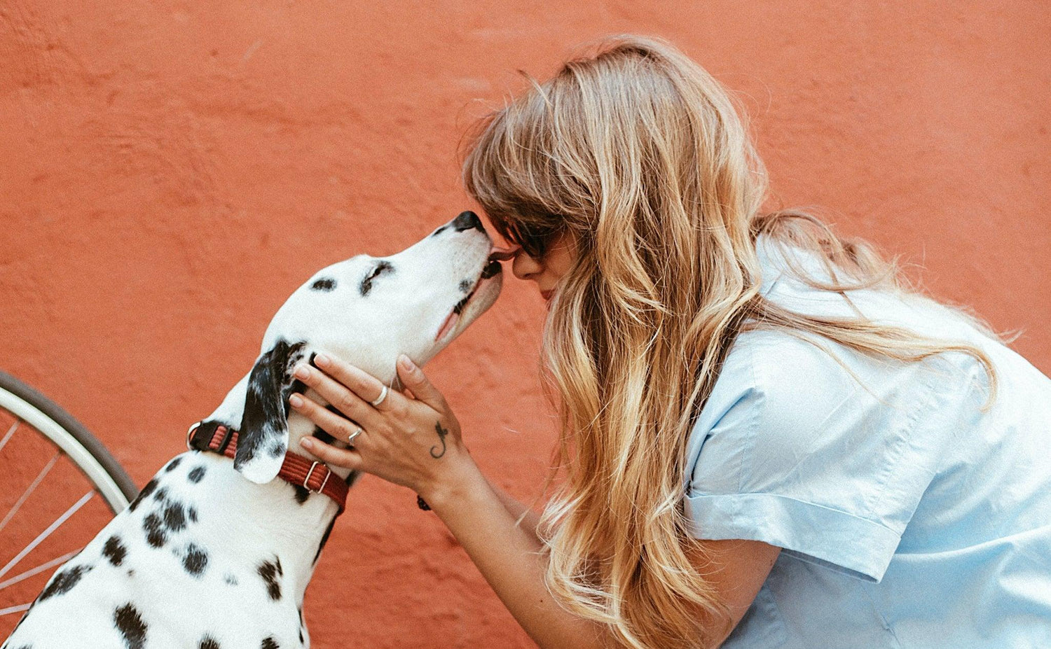 How to Tell if Your Dog Loves You: 5 Sure Signs | Skout's Honor