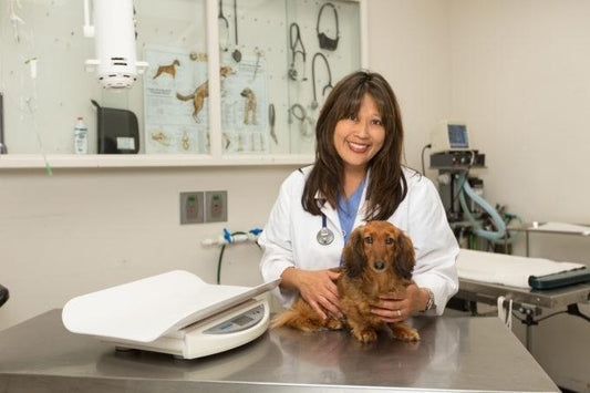 Liz Hanson, Veterinarian (DVM) smiling in front of the camera with a dog next to her in an examining room