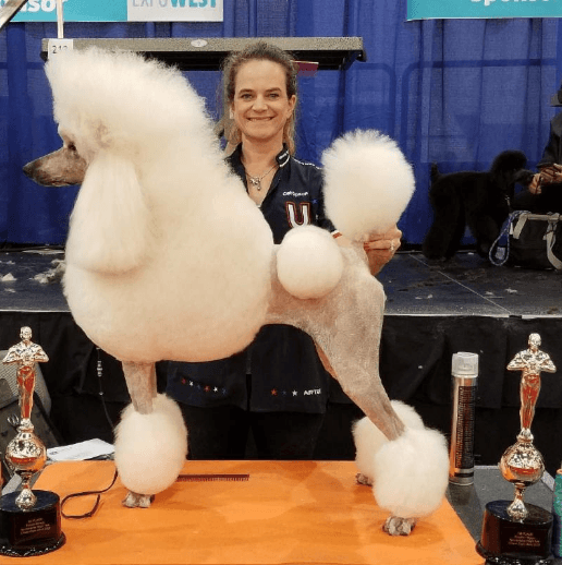 Interview with a PRO Groomer | Skout's Honor