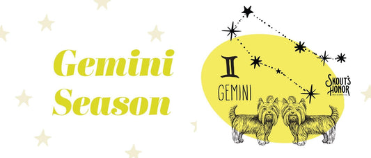 Pet Horoscopes: Gemini Season Brings Mercury Retrograde Along With It | Skout's Honor