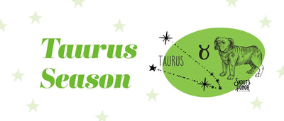 Pet Horoscopes: Taurus Season Calls For Reinforcing Routines (and Extra Snuggles!)