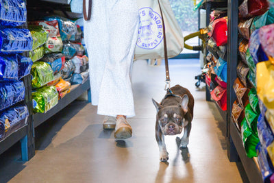 Pet Store Essentials for Your New Fur Baby