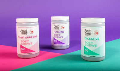 The Pros and Cons of Dog Vitamins and Supplements