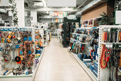 What to Buy for a New Dog: 8 Must-Have Items