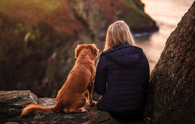 What to Pack for Outdoor Adventures with your Dog