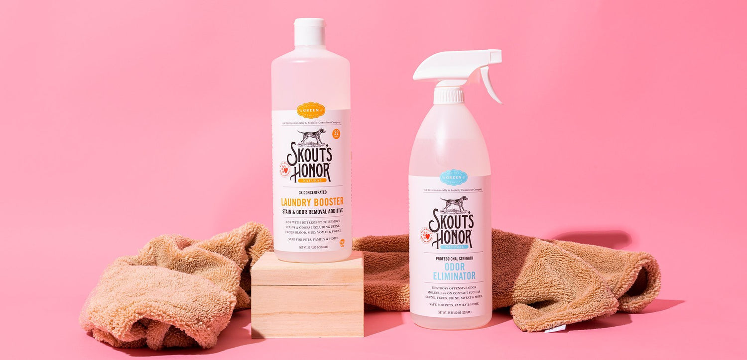 Which Skout’s Honor Pet Cleaning Product Is Right For Me? | Skout's Honor